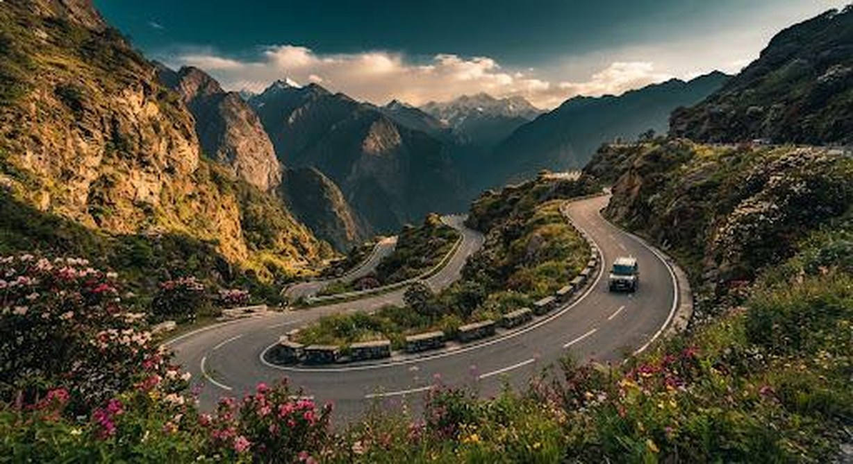 A vehicle on a hairpin mountain road through rhododendron blooms in Sikkim