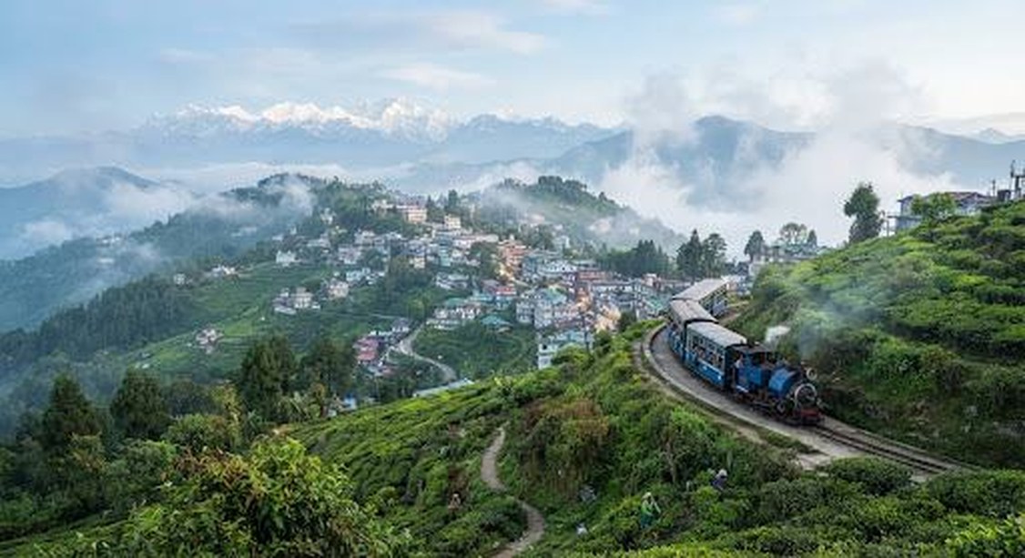 The Darjeeling Himalayan toy train winding past hill houses and tea slopes in the mist